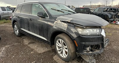 W25111_2019_AUDIQ7_3.0L.jpeg